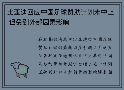 比亚迪回应中国足球赞助计划未中止 但受到外部因素影响