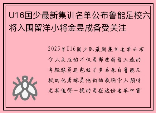 U16国少最新集训名单公布鲁能足校六将入围留洋小将金昱成备受关注